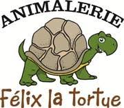Animalerie Félix la tortue